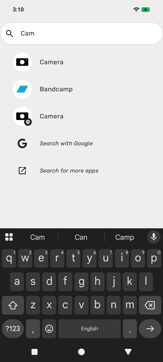 A Private Space app showing up in search results with its shield badge.